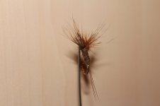 IMG_3192.JPG