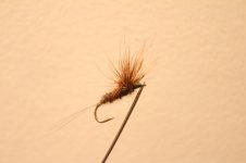 IMG_3200.JPG