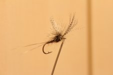 IMG_3189.JPG