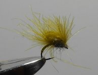 DSCN0320.JPG