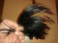 20141214_131733.jpg