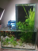 _57059389_71sbqb[1].jpg