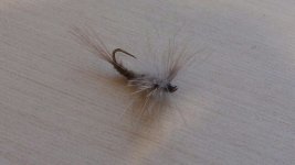 20150130_100530.jpg