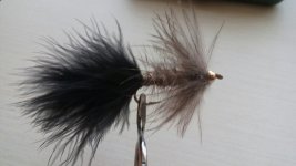 20150130_123525.jpg