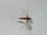 RSCN2446.JPG
