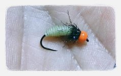 catgut nymph.jpg