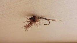 20150216_124738.jpg
