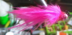 IMG_20150311_132315.JPG