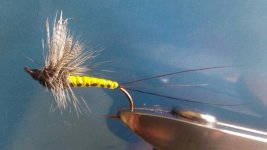 20150329_144519.jpg