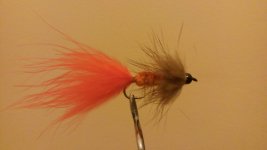 20150331_000046.jpg