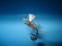 rsz_dsc01229 (1).jpg