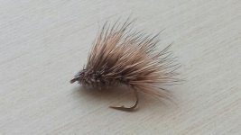 20150502_105448.jpg