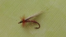 20150507_113640.jpg