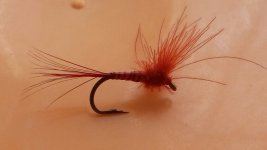20150514_122142.jpg