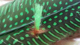 20150515_181156.jpg