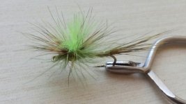 20150520_141005.jpg