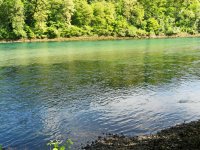 DSCN4764.JPG