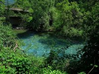 IMG_1600.jpg