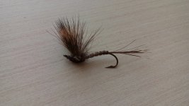 20150603_124458.jpg
