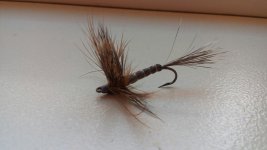 20150603_135540.jpg