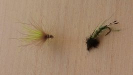 20150610_071800.jpg