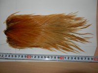 DSCN8695.JPG