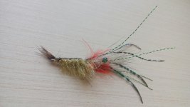 20150627_132852.jpg