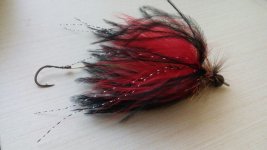 20150709_190453.jpg