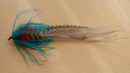 20150710_082544.jpg