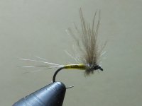 BWO.jpg