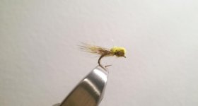 IMAG4196.jpg
