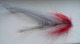 20151206_142639.jpg