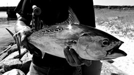 IMG_0156bw.jpg