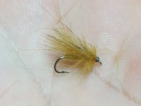 20160204_154302.jpg