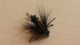 20160206_122923.jpg