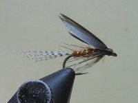 RSCN2769.JPG