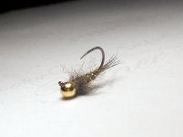 RSCN0497.JPG