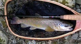 WP_20160321_15_12_58_Pro.jpg