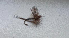 20160323_130012.jpg
