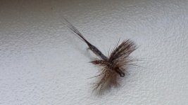 20160323_130029.jpg