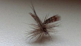 20160323_130047.jpg