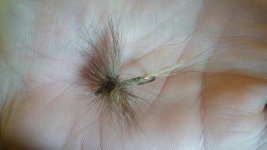 20160326_115145.jpg