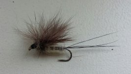 20160326_152953.jpg