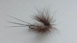 20160326_153143.jpg