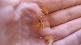 20160327_134829.jpg