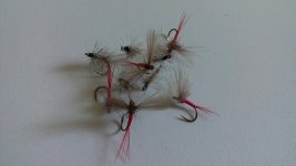 20160403_130439.jpg