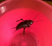 WP_20160410_13_59_22_Pro.jpg