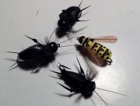 20160426_191343.jpg
