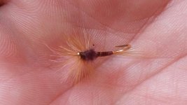 20160522_102203.jpg