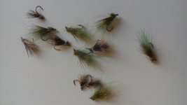 20160529_094547.jpg